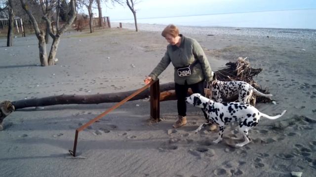 Барьер 6 03 18