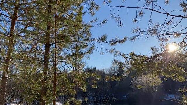 ДЕНЬГИ НАМ ОТДАЙТЕ, А ОТДОХНЕТЕ ЛЕТОМ НА ДАЧЕ!... | Исто
