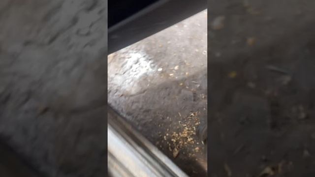 Разборка Nissan-Primera P12 2002-2007, 1.8  (VIN:SJNFBAP12U0246223)  77866