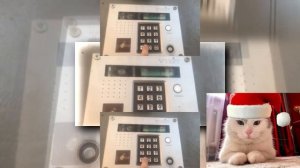 (YTPMV) VIZIT БВД 432, Запись ключа #домофон Scan