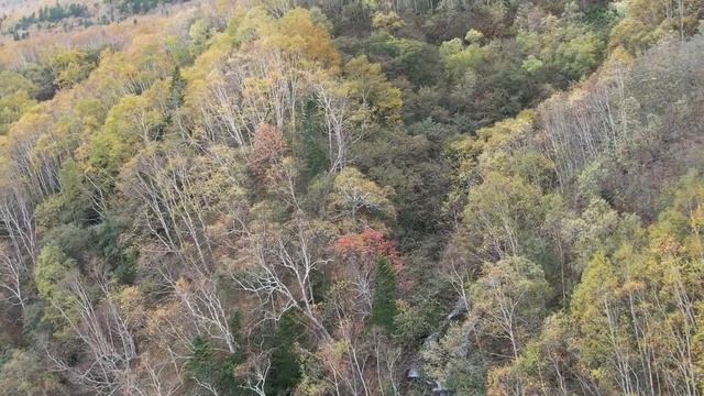 Экскурсия с гостями на ворота Тории и Клоковский водо?