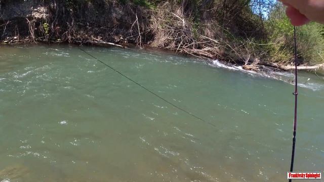 Воблер за копійки - клювання на мільйон! Карпати, форел