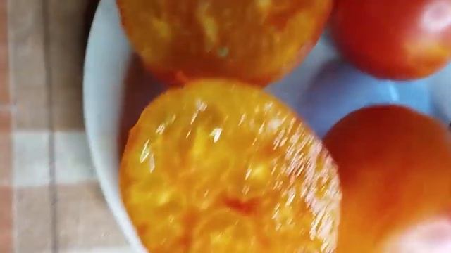 Каталог томатов на 2024 г.  Часть 2. г. Киров