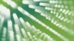 Спонсор программы ООО «Мегафон» перед Вести-Спорта (С?