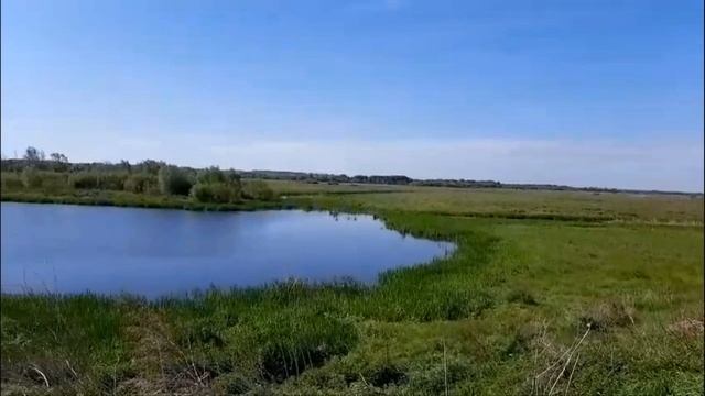 У нас весело смотреть онлайн