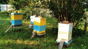 К ГВ готовы