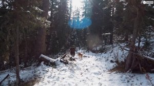 МЕСЯЦ В ТАЙГЕ: КЕДРОВЫЙ ОРЕХ, МОКРЫЙ СНЕГ И БОРЩ