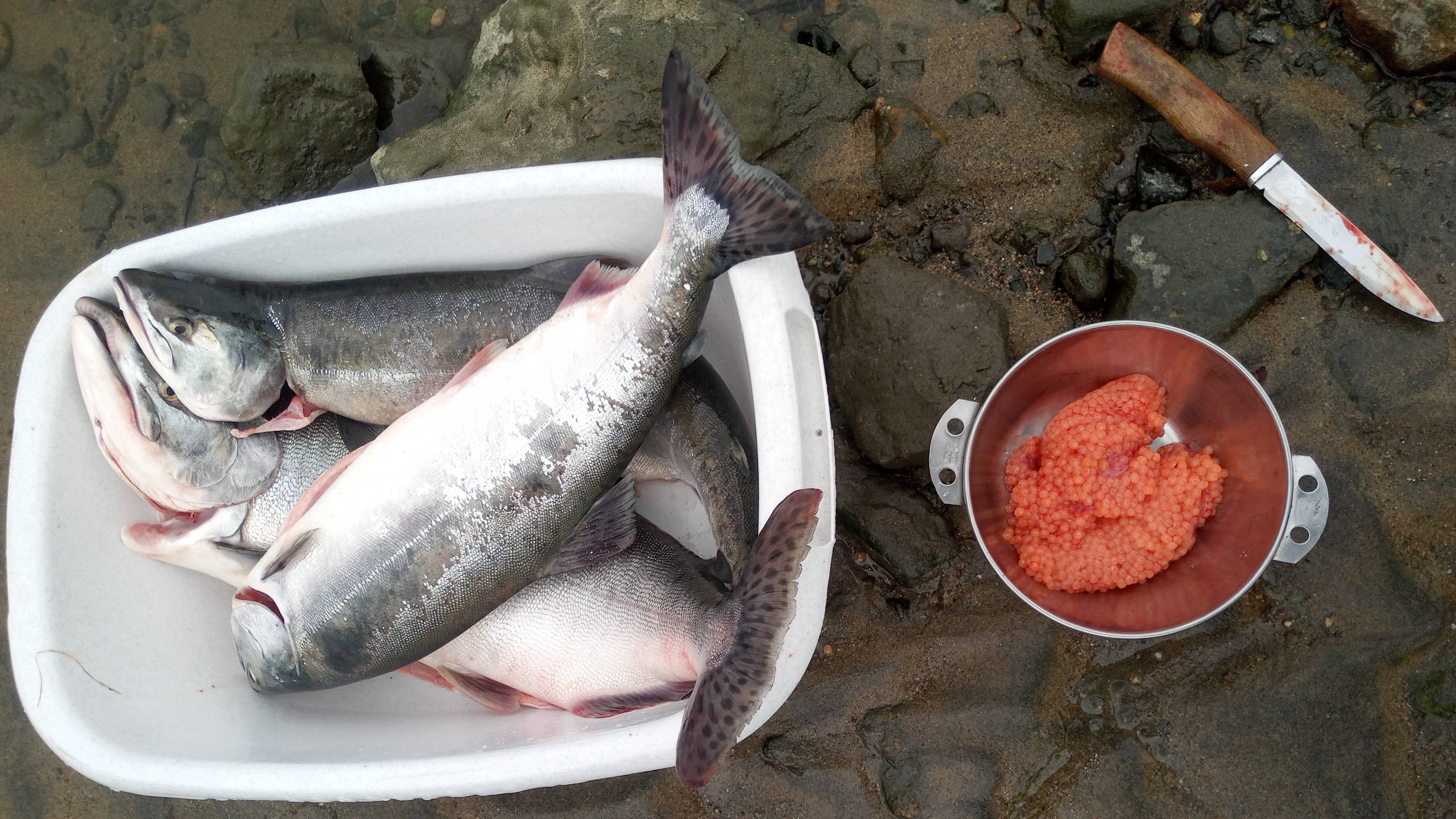 Мастер класс от Бориса Михайловича