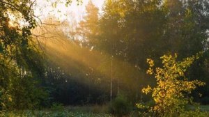 Травницы из тт мод тик-ток