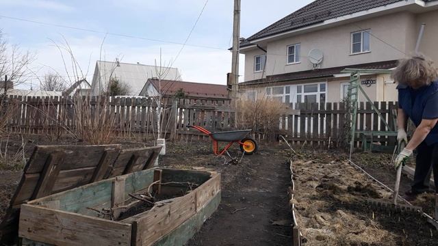 Что творится с погодой? Как перезимовал виноград?