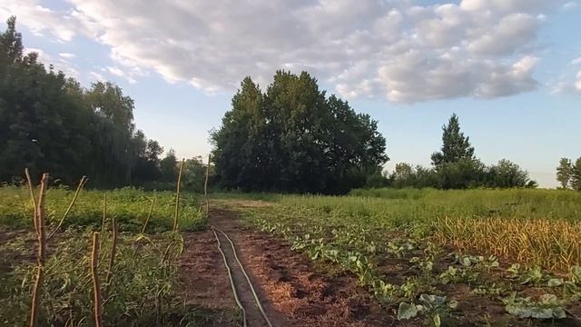 Вечерняя болталка. Не могу найти перчатки🤦♀️
