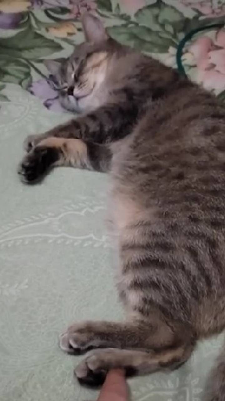 Хоть небо опрокинь, а я в Нерване смотреть онлайн