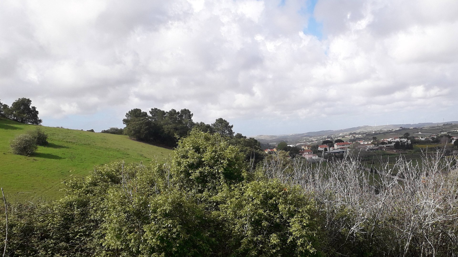 Земля в Португалии