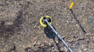 Minelab equinox 900 влияние ferrum на пляжные находки!на пресном п