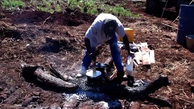 ФУНЖ ИЗ КУКУРУЗЫ.. МАМАЛЫГА. КУКУРУЗНАЯ БОЛТУШКА.