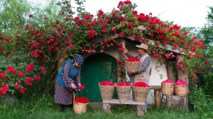Ароматная Роза в Кулинарии : Напиток и Выпечка