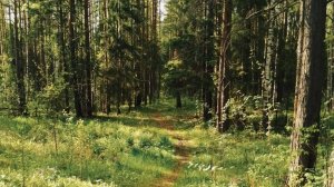 Травницы из тт мод тик ток