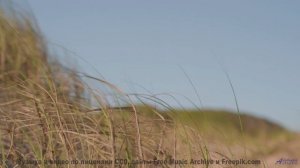 Почему рыбы в аквариуме сходят с ума от этой мелодии - Secret Hopes -- Anthem of Rain -- Unnamed alb