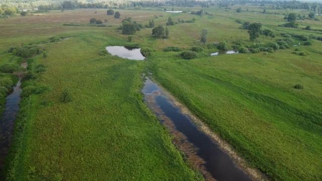 Река Десна. Остров Любичев. Северные озёра острова Люб