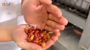 Оборудование для производства арахисовой пасты 300 кг/?