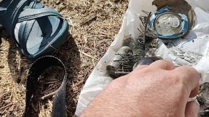 добиваю сельские пляжи! поиск в воде! minelab x Terra pro