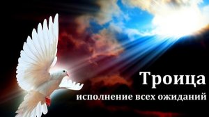Исполнение обещанного ♥️ Проповедь МСЦ ЕХБ