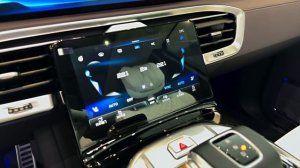 Обзор Hongqi E-HS9