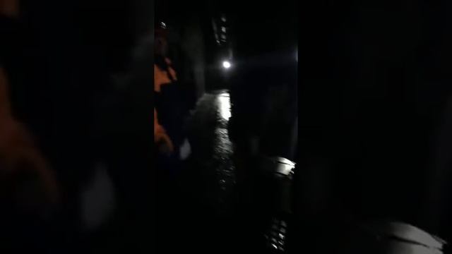 Зимняя вишня изнутри после пожара 26 03 2018 гибель детей