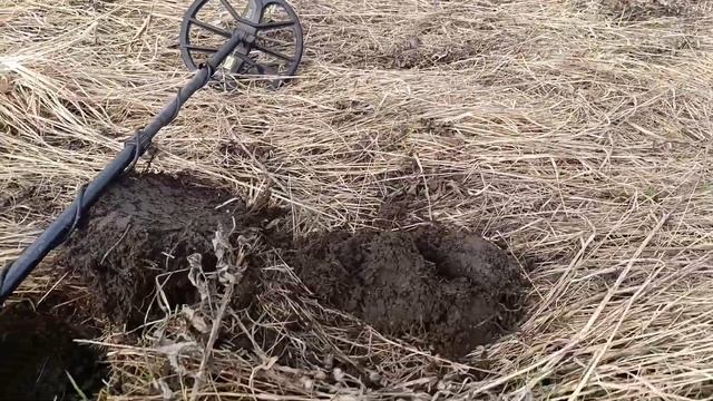 Объехали три урочища, результат радует! Коп монет. Коп