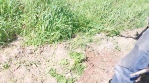 Полевой коп с Minelab X Terra Elite.