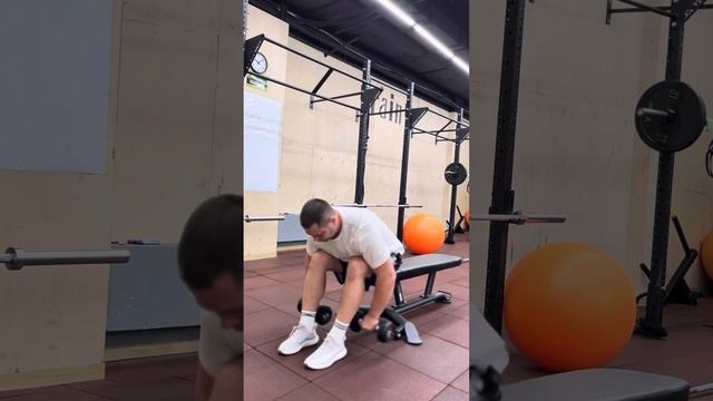 Как эффективно прокачать плечи гантелями