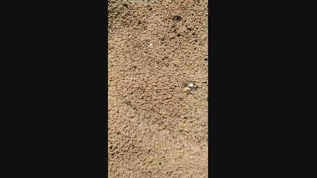 Песчаная гора #1