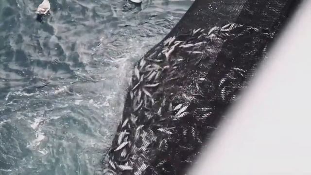 Продукты компании ЕЮС Брокер