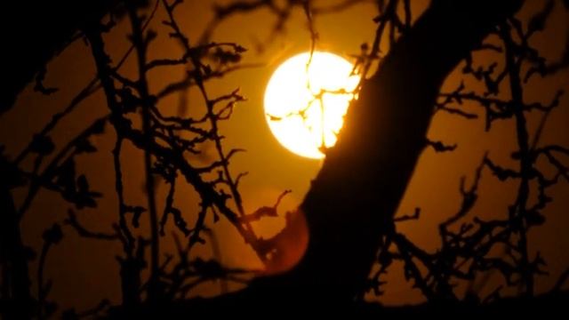 ДВАДЦАТЬ СЕДЬМЫЕ ЛУННЫЕ СУТКИ 26 ЯНВАРЯ.