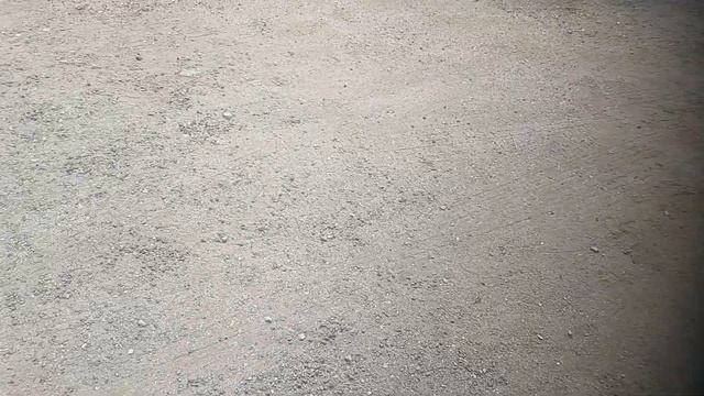 Лос Анжелес сегодня,   продажа живых цветов  и фруктовы