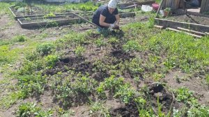 💣💯🔥💘Обзор опрыскивателя 12литров "ЗУБР "ОПС 12🥦🥕П