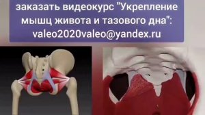 Спазм нижней глазной и пуборектальной мышц ухудшает з