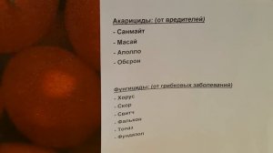 Схема обработок клубники
