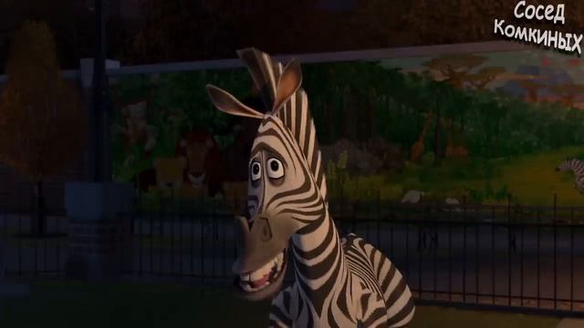 Мадагаскар рутп Rytp сосед комкиных смотреть онлайн
