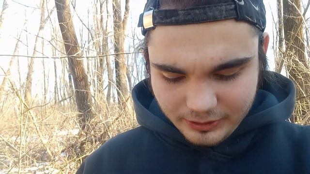 Кратко про Дану  ожидаются щенки  Veniamin Shmelev  алабай