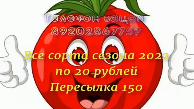 Акция на семена томатов