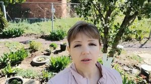 Обработка сада весной, во время цветения.