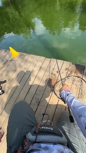 Поел называется 😃 смотреть онлайн