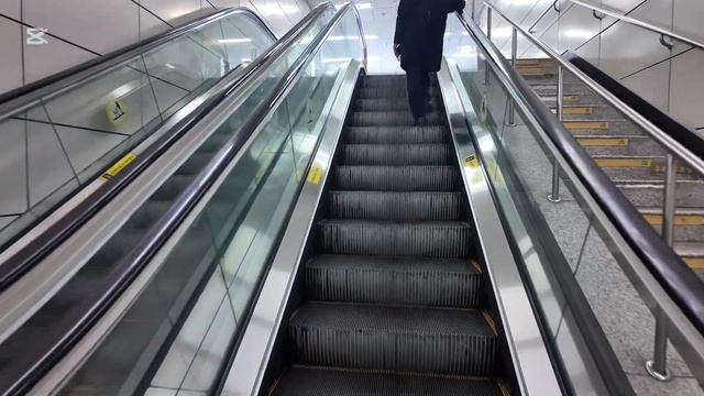 Прекрасная прогулка, по улицам КАННАМ! смотреть онлайн