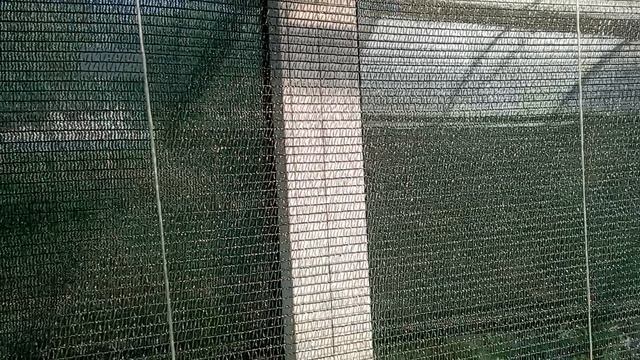 приехала на дачу, собрала огурцы, помидоры начали завязываться/огород/огурцы/томаты смотреть онлайн