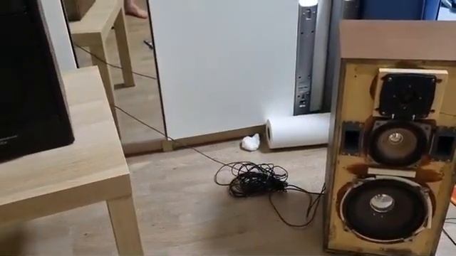 Вега 50ас 106 #bass #music #ussr