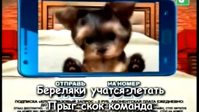 DVD меню детские программы на канале Карусель выпуск 2 с