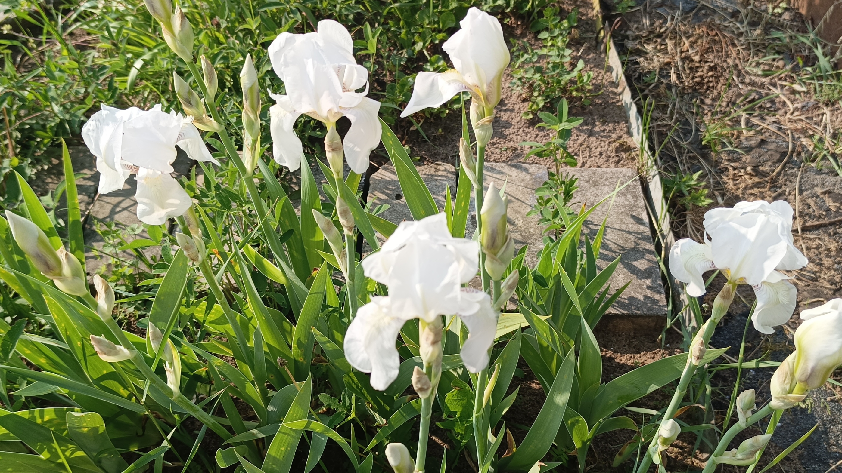 13-06-2025💥Влог💥пятница смотреть онлайн