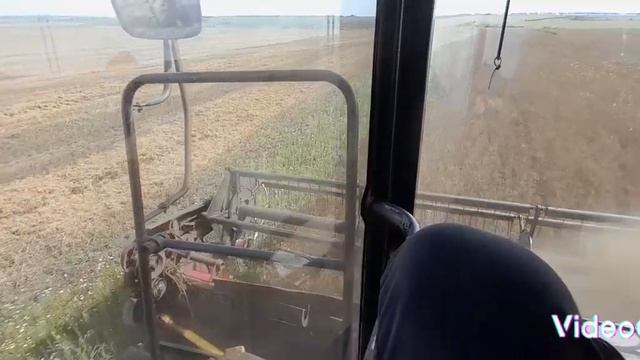 уборка гороха продолжается