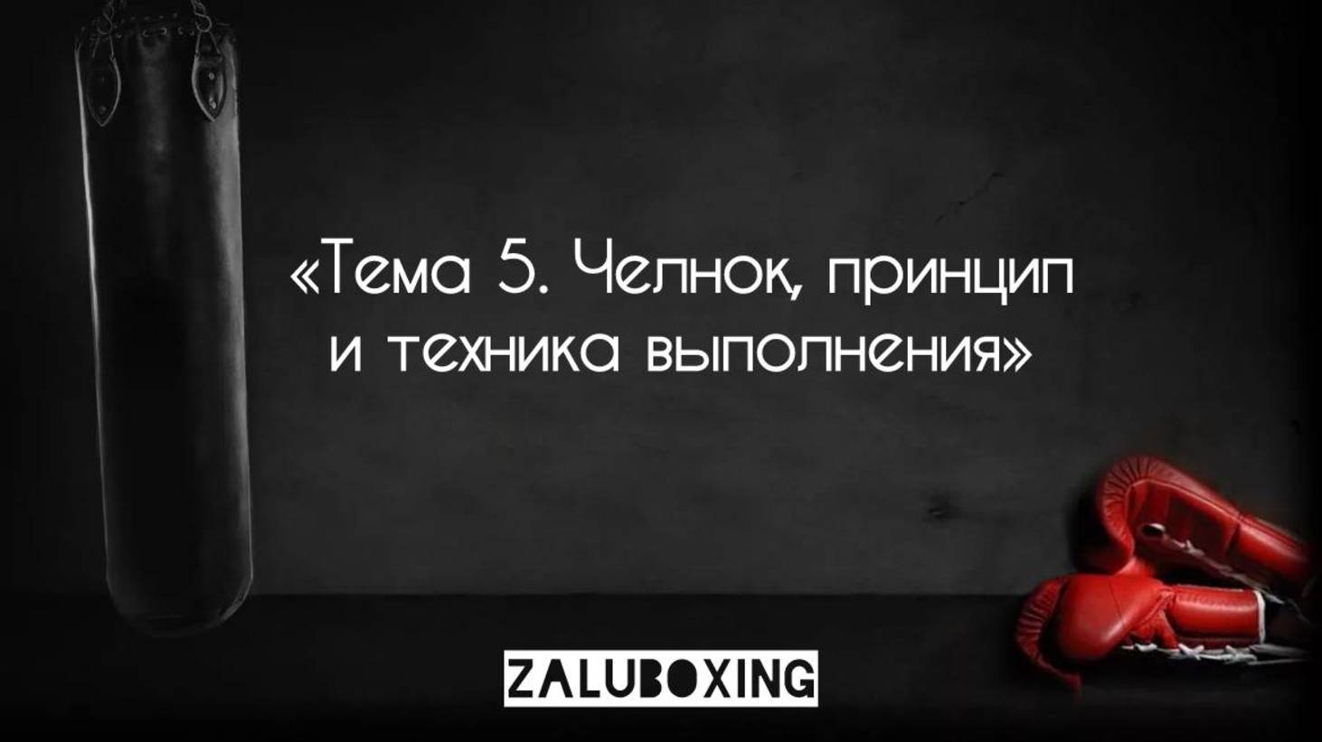 Тема 5. Челнок, принцип и техника обучения смотреть онлайн